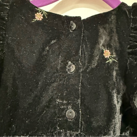 Zara baby girl velvet floral embroidered dress 12-18m - Picture 6 of 7